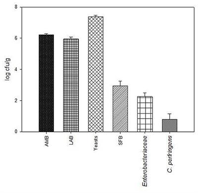 Ensiling Grape Pomace With and Without Addition of a Lactiplantibacillus plantarum Strain: Effect on Polyphenols and Microbiological Characteristics, in vitro Nutrient Apparent Digestibility, and Gas Emission